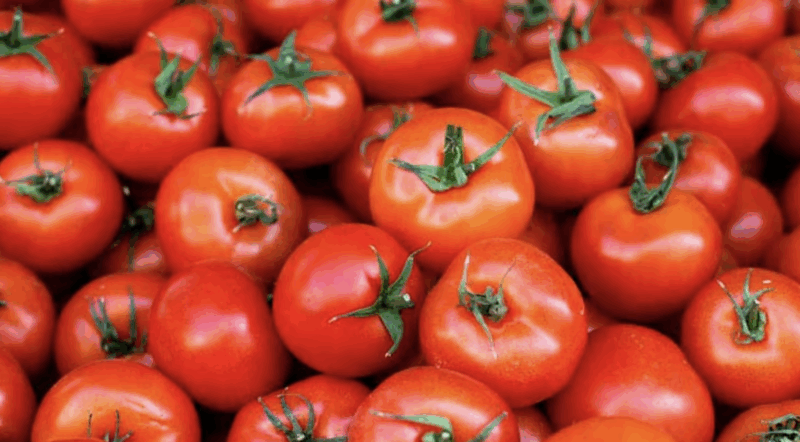 NCCF mobile van selling subsidised tomatoes in Delhi amid rain-driven price spike | Representational Image