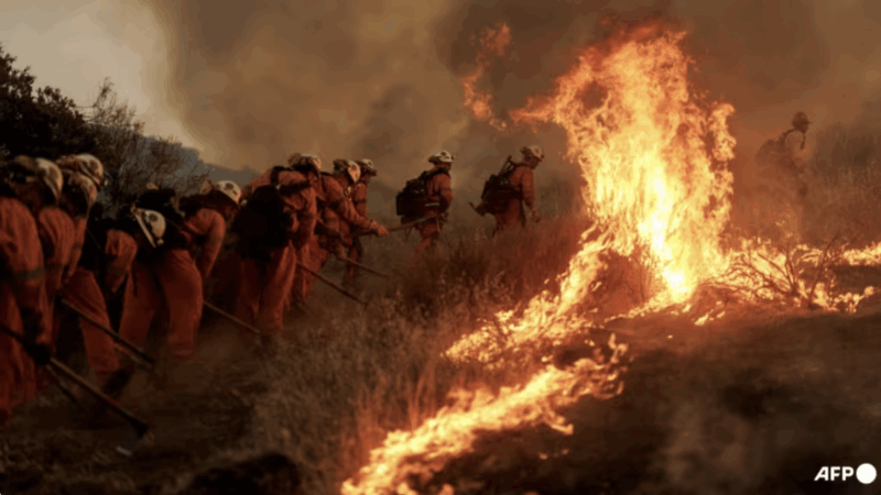 Firefighters battle flames from the Canyon Fire on Aug 7, 2025, in Castaic, California. (Photo: AFP/Getty Images via AFP)