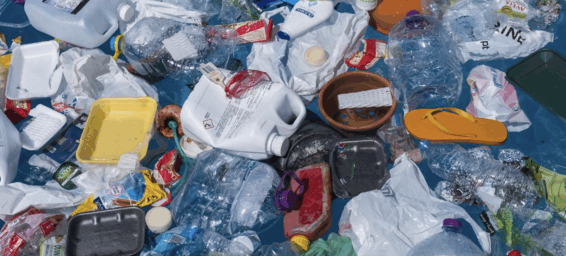 Image: Paulo de Oliveira/IMAGO/Ardea