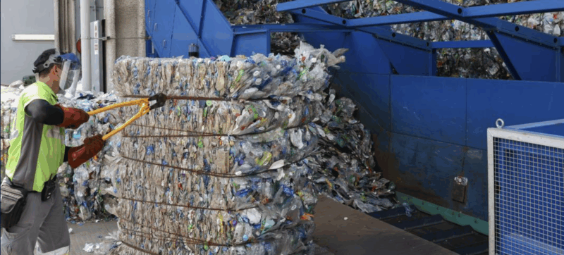 Image: K. Y. Cheng/Newscom/picture alliance