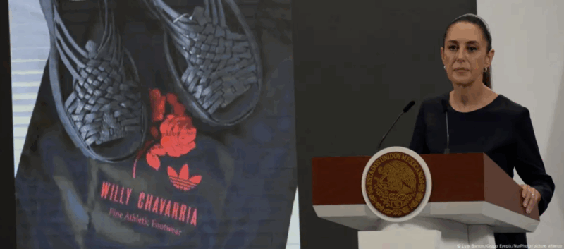 President Claudia Sheinbaum defended the 'intellectual property' of Mexico's indigenous communitiesImage: Luis Barron/Grupo Eyepix/NurPhoto/picture alliance