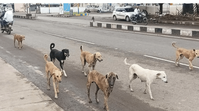 Credit: DH File Photo